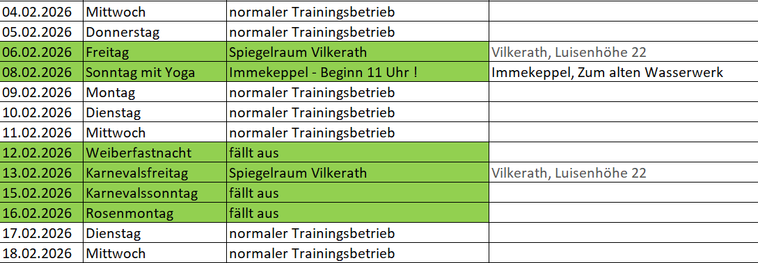 Training_Erwachsene_Karneval_2026.png