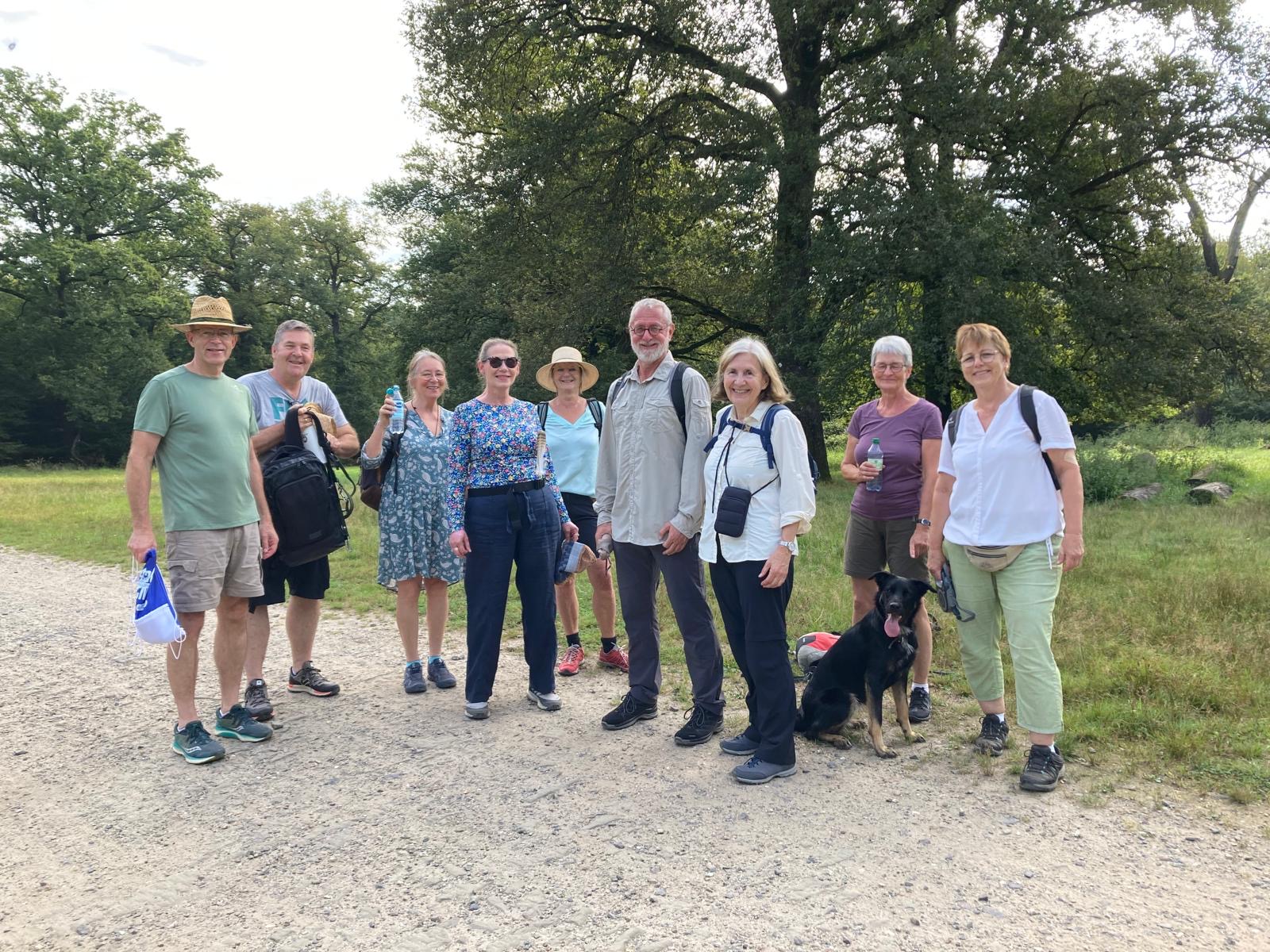 Grey Monday Wahner Heide 1