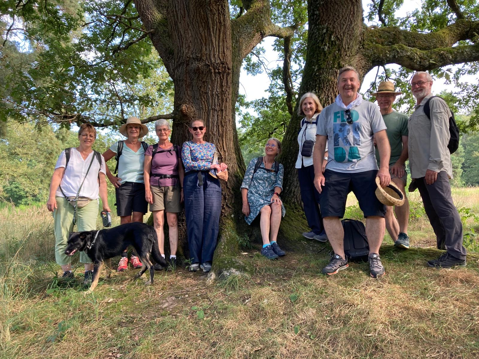 Grey Monday Wahner Heide 3